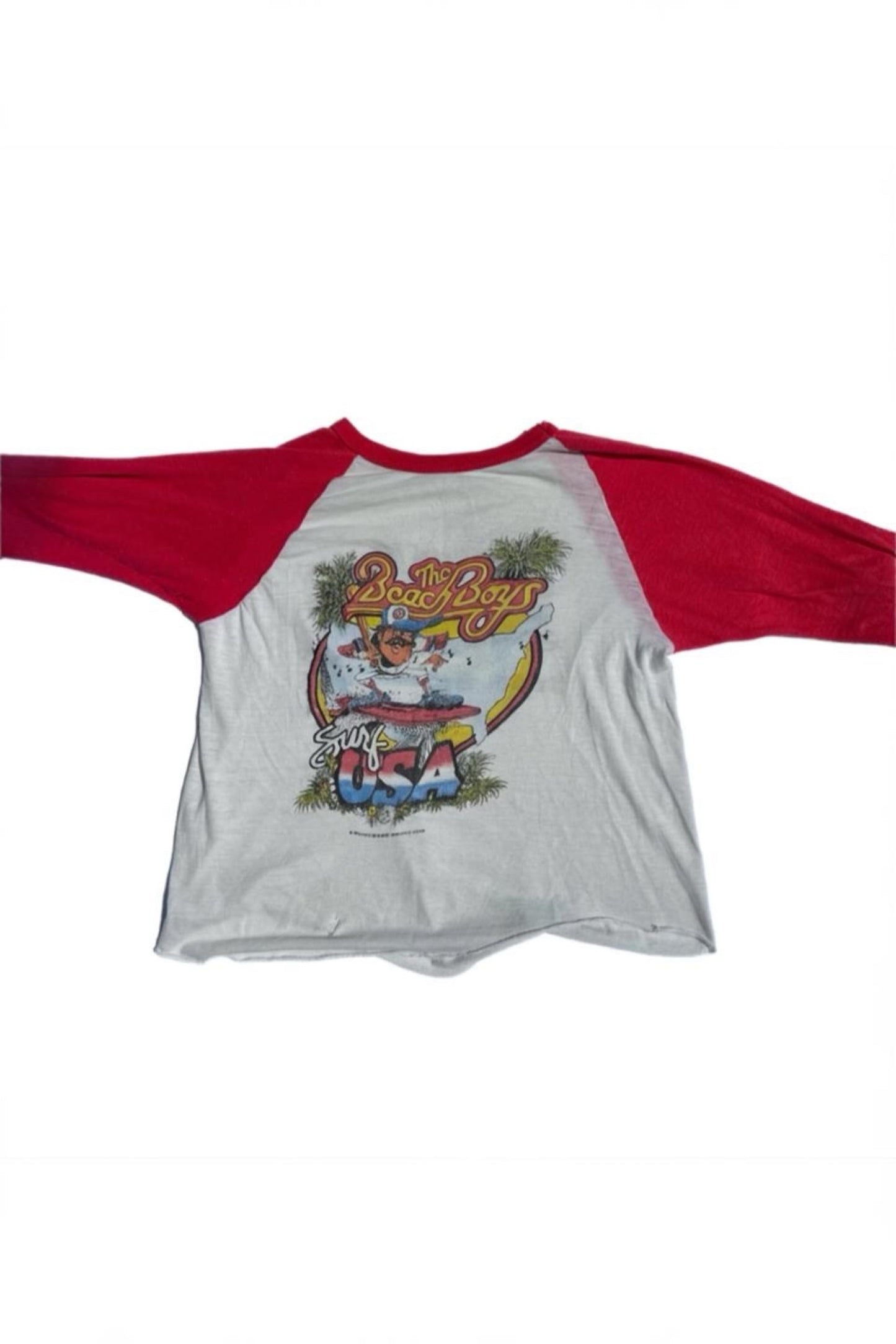 Vintage Beach Boys Raglan Tee